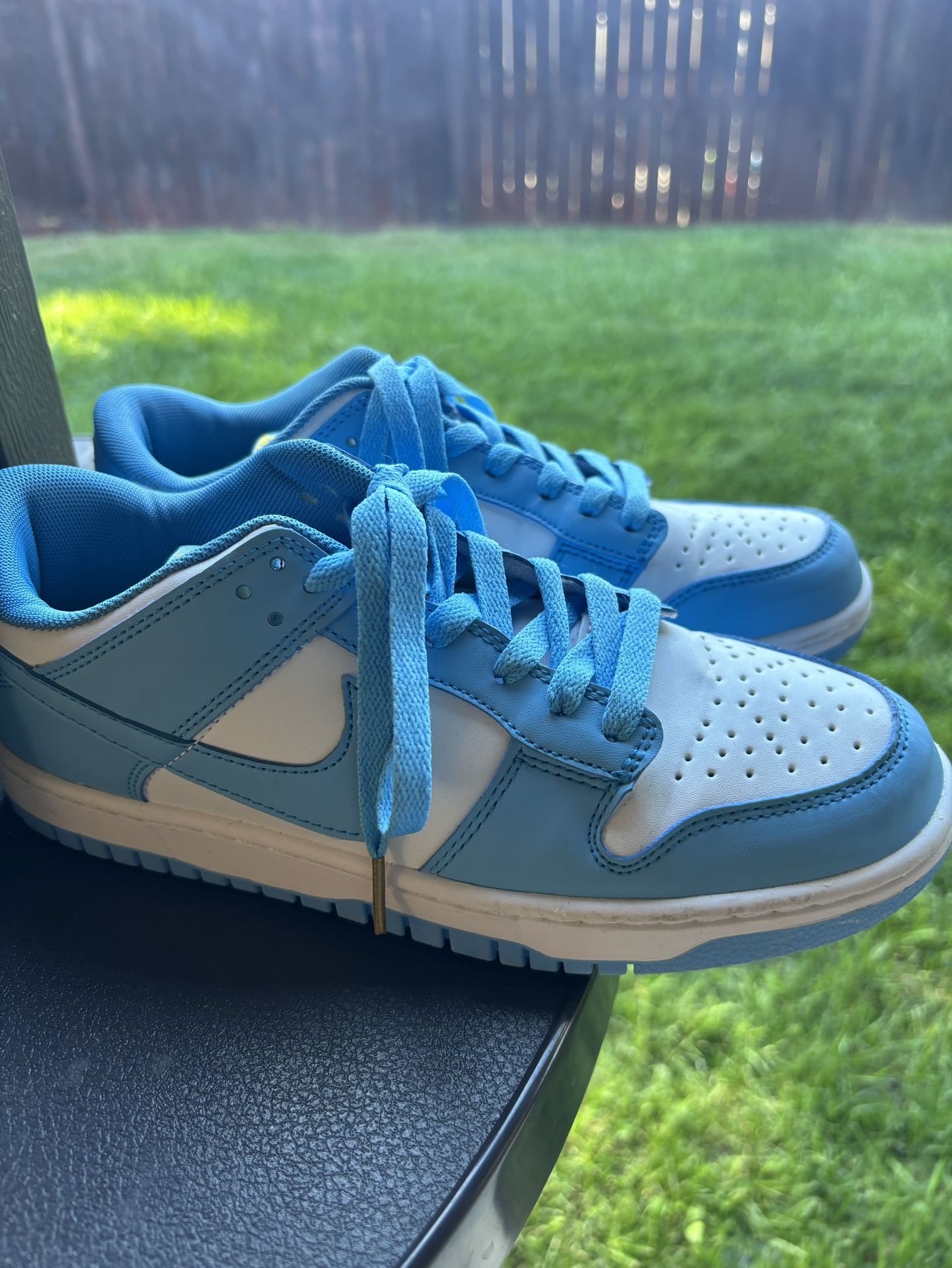Nike Dunks low