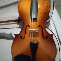 Viola