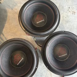 3 Massive Hippo 12 Inch