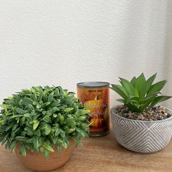 BOTH Faux Fake Plants