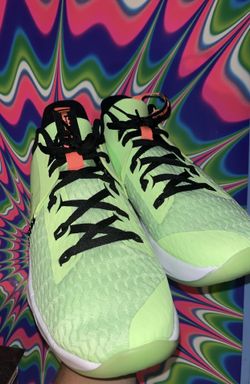 Lebron Witness Sz 11 Offer