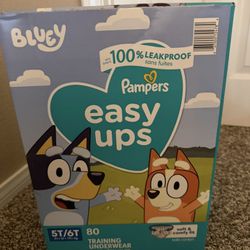 New Box Of Training Underwear 5/6