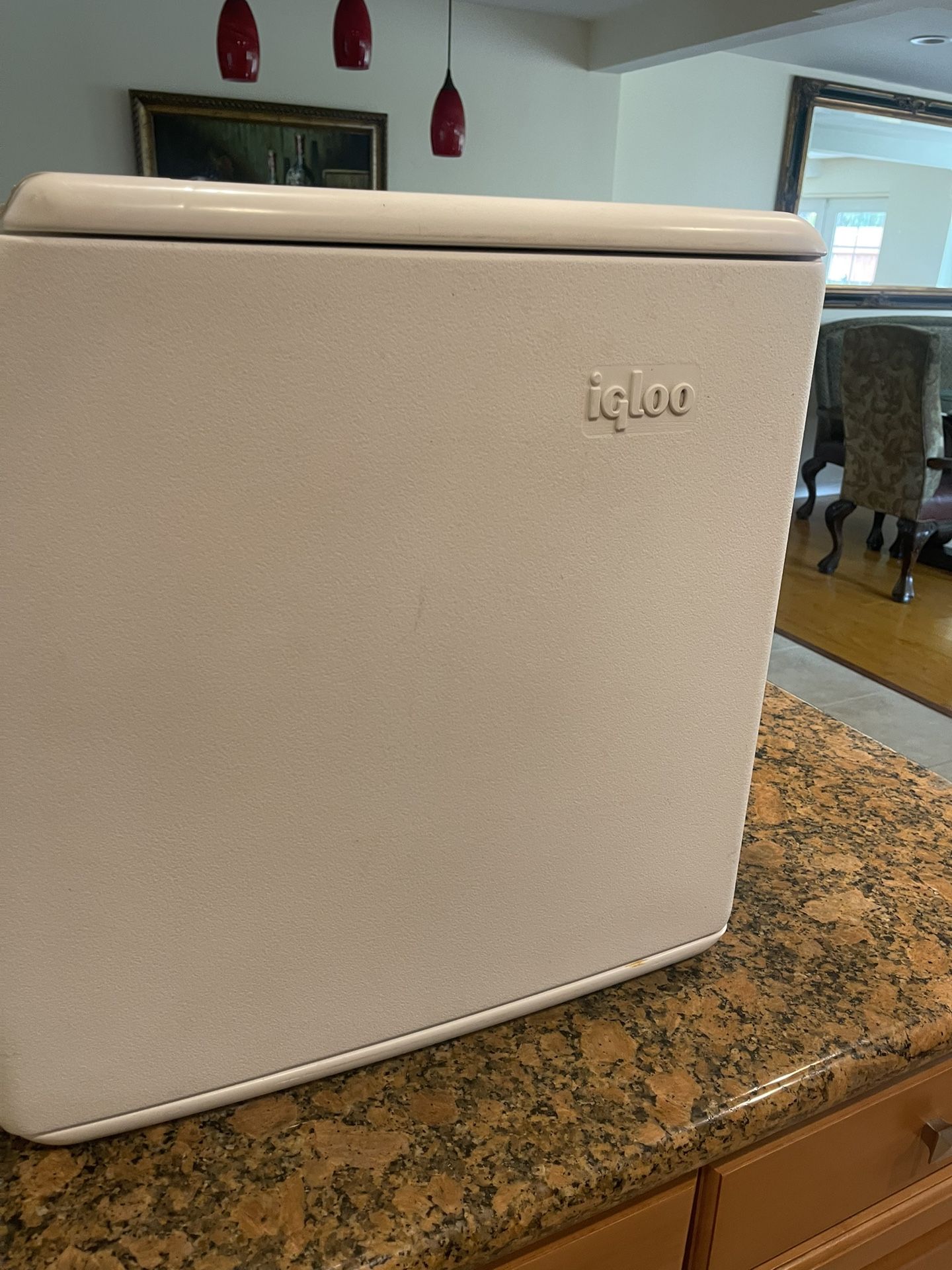 Igloo thermoelectric / “iceless” portable cooler,