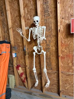 New Skeleton 60” Tall