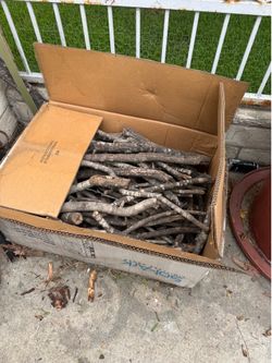 Free Pecan wood