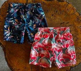 4T Boys Swim Trunk (2 Pair)