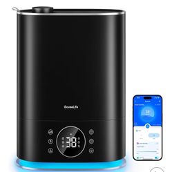 Govee Humidifier 