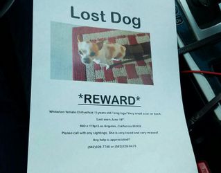 Lost