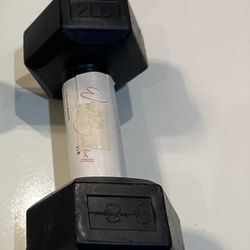 Jessica Simpson 2lb Dumbbell Hand Weight 