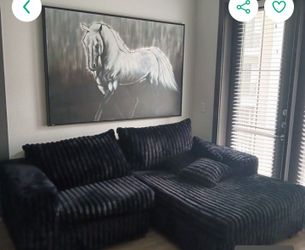 $500 Pictures Of A Horse, Will Sell For $175