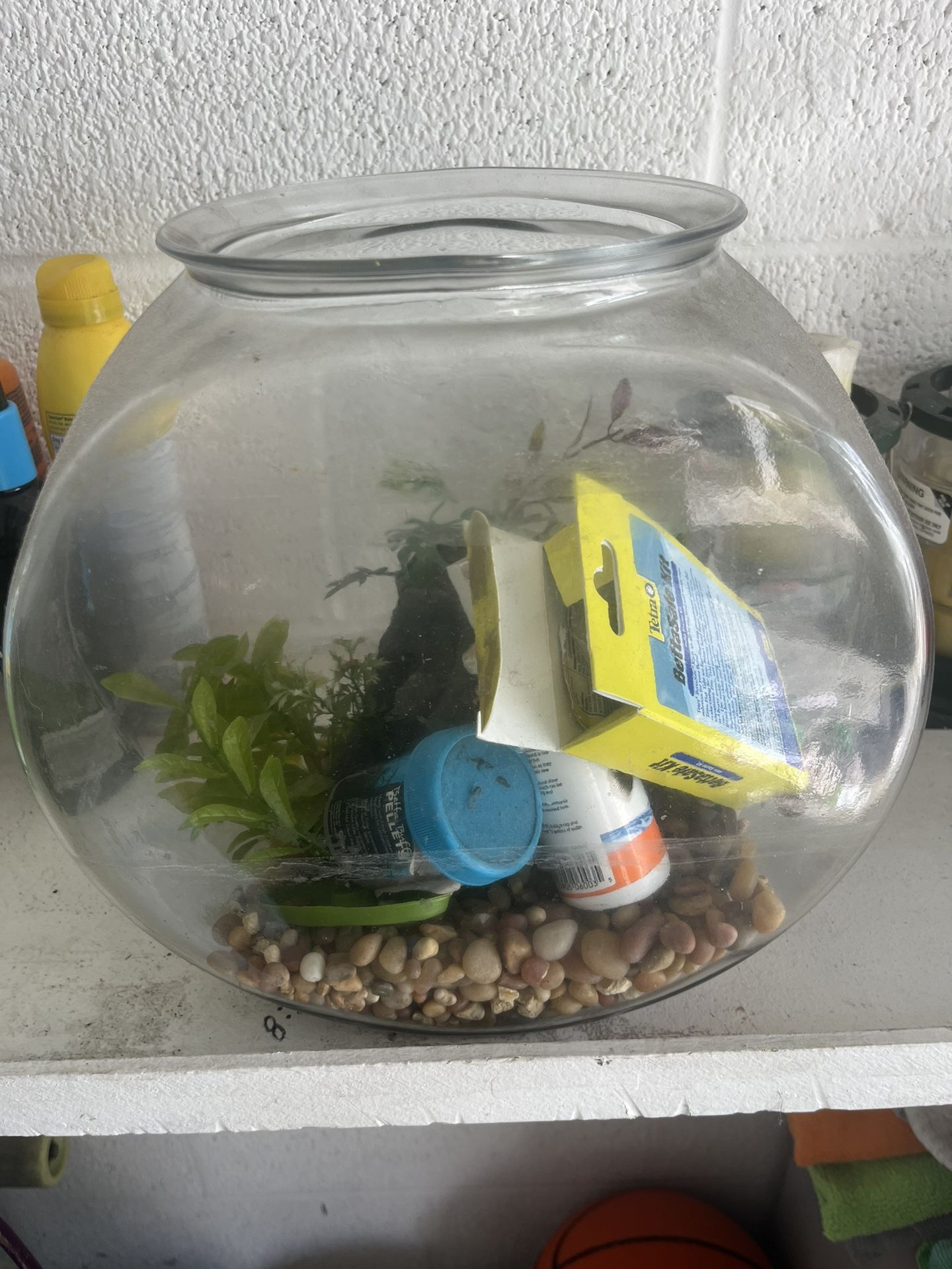 Fish Bowl