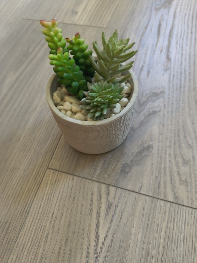 Artificial Succulents In Pot