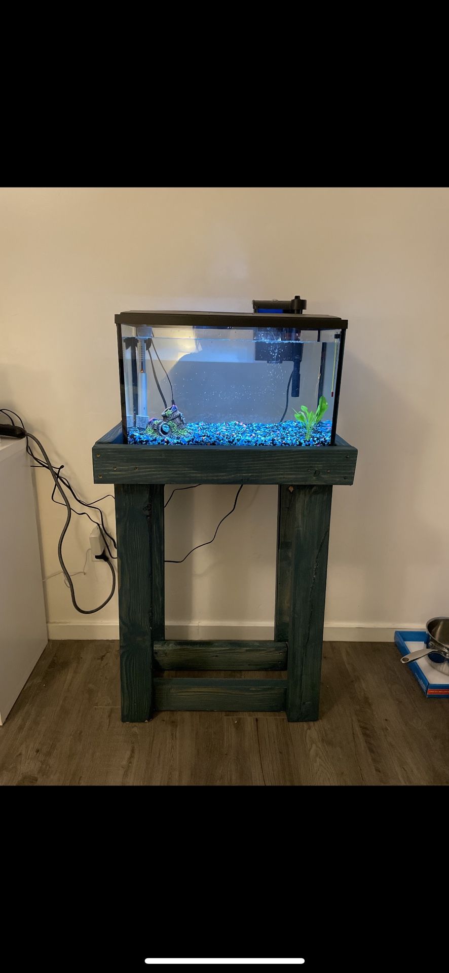 Fish Tank 10 Gallons