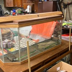 52 Gallon Flat back Hex Aquarium