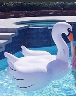 Large Inflatable pool white swan