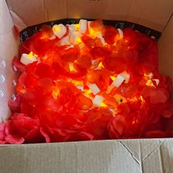 Quieres Ser Mi Novia Velitas De Pila Corazón Y Pétalos