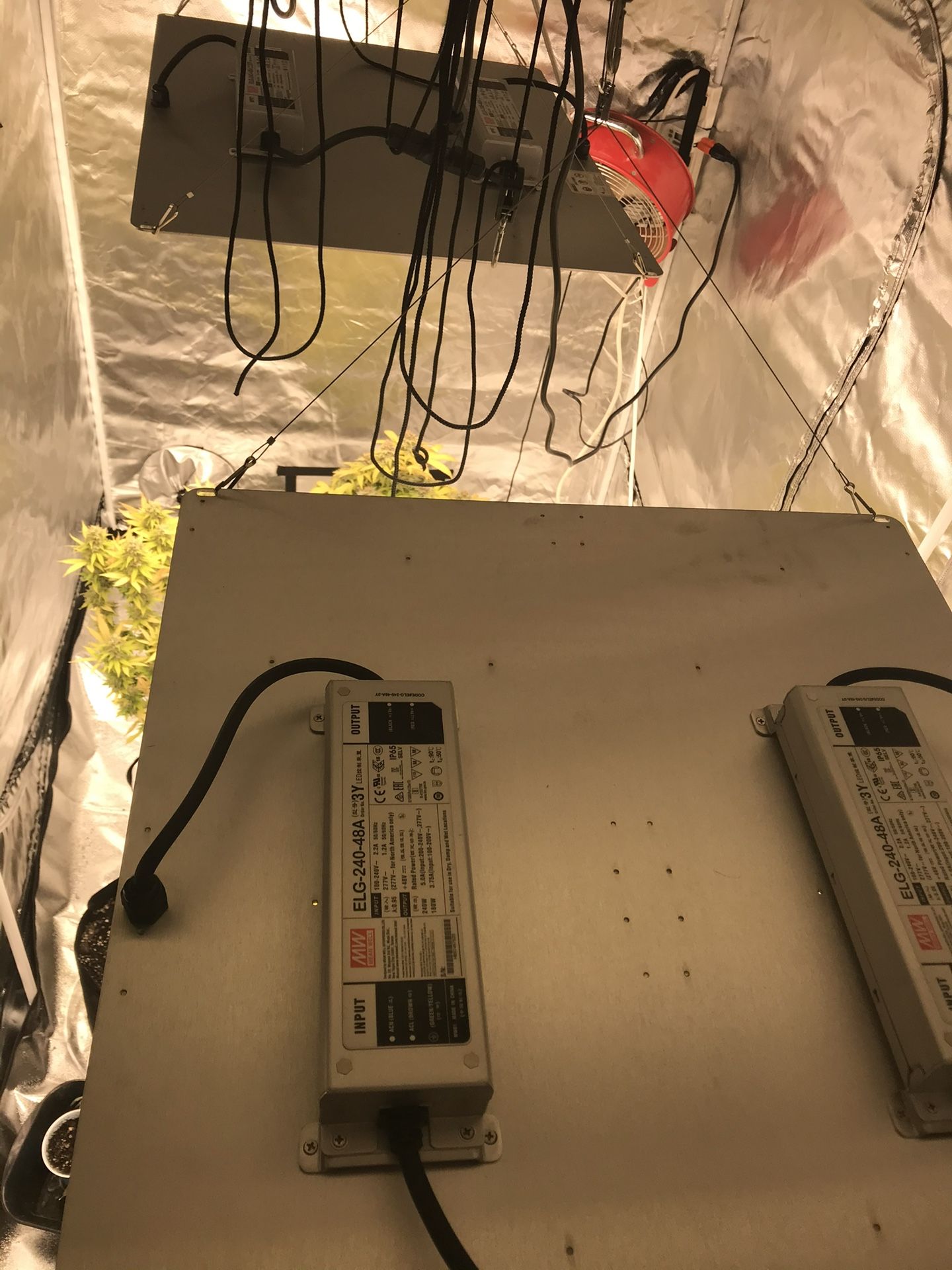 2- Spider Farmer Sf4000’s Package Deal