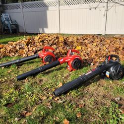 Homelite Craftsman Leaf Blower Working