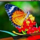 New 55 Inch Television from LG