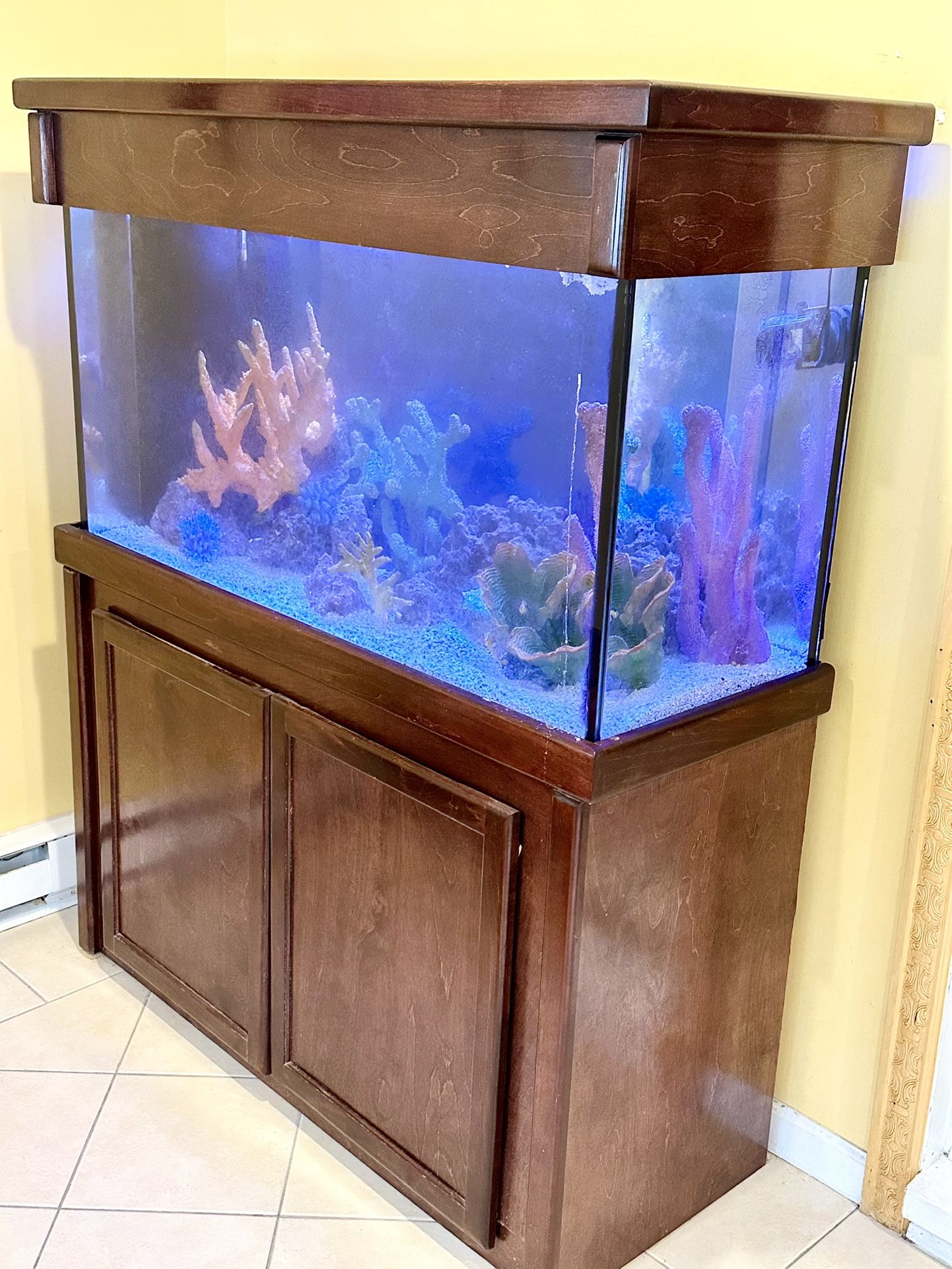 Salt Water 70 Gallon Fish Tank 