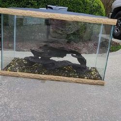 Fish Tank 