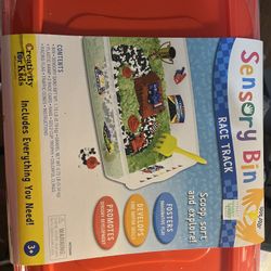 Kids Sensory Bin 