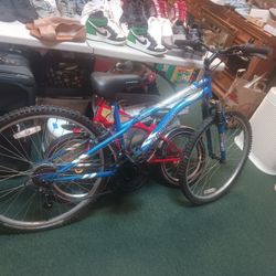 Murray 21 Speed Solara 