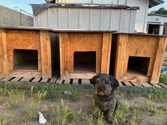 Wood Dog Houses