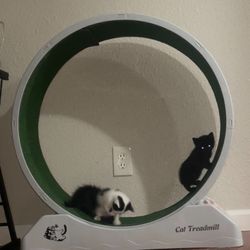 Cat Exercise Rotating Wheel    