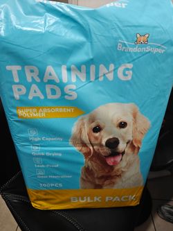 Dog Training Pads 100 XL (27 x 33 in)