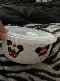 Disney Container
