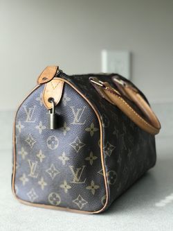 louis vuitton bag speedy 25 Used Very Good Condition With