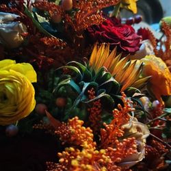 I Sell Plant Flowers Rose And Decorations 