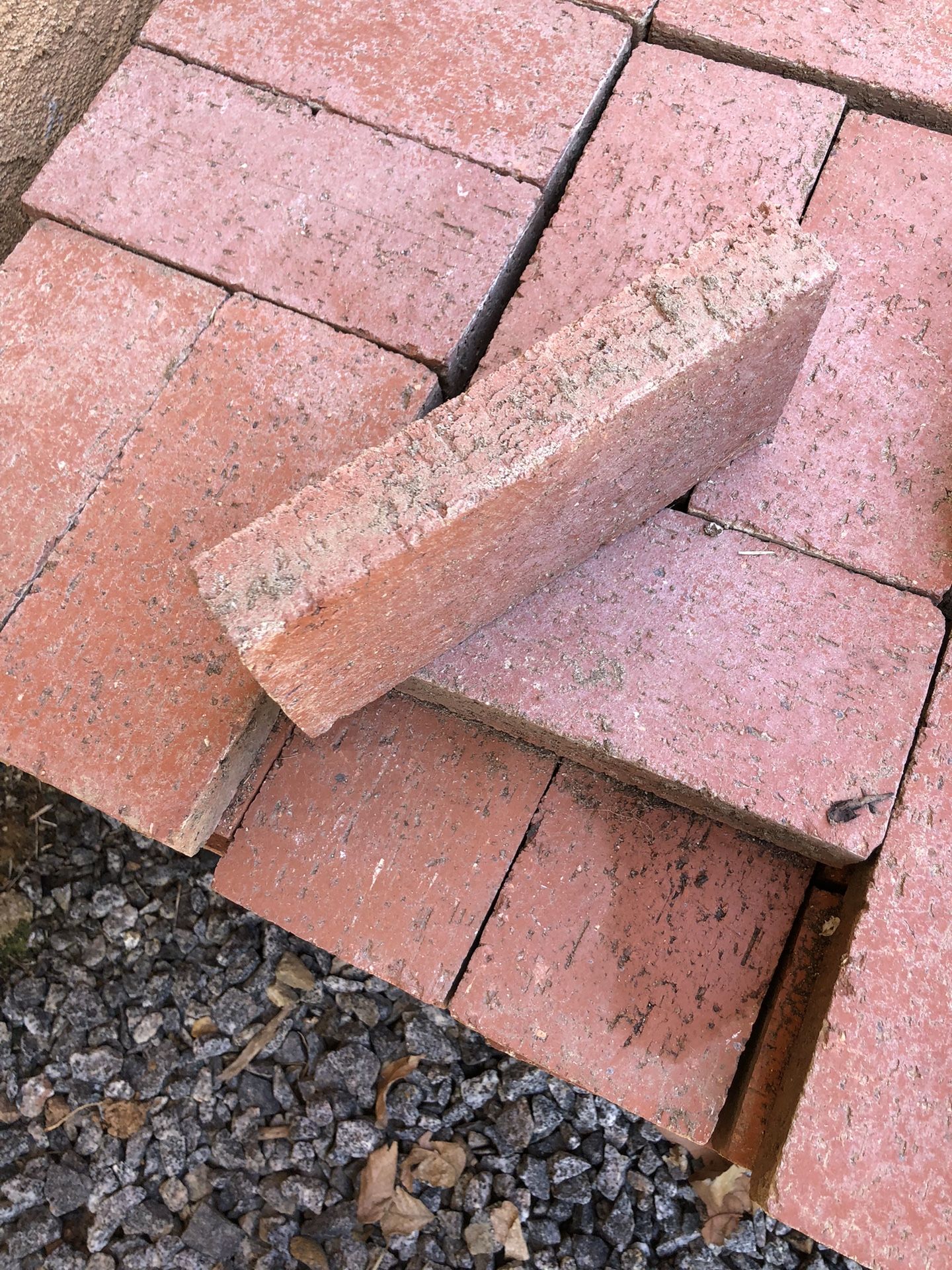 Pacific Clay 8-in x 3.75-in Common Full Red Clay Brick in the Brick & Fire  Brick department at