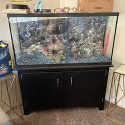 Fish Tank