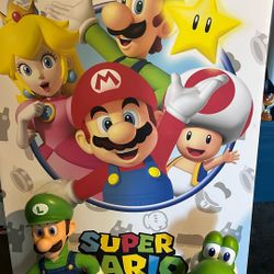 Súper Mario Canvas And Plushies 