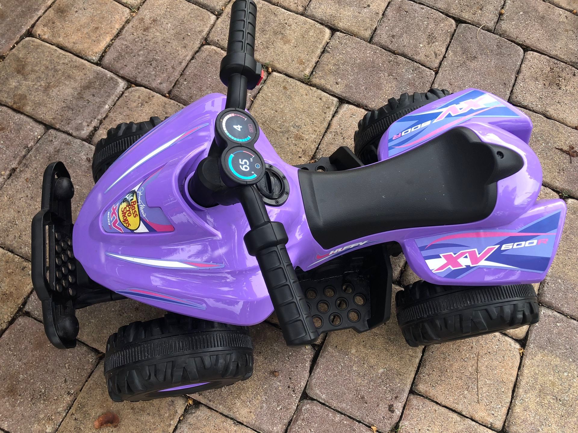 CV 600R Bass Pro Shop Ride On Mini Quad