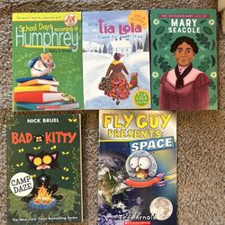 Chapter Books