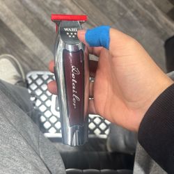 Wahl Detailer 