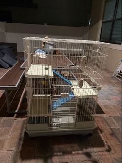 Cage for ferret