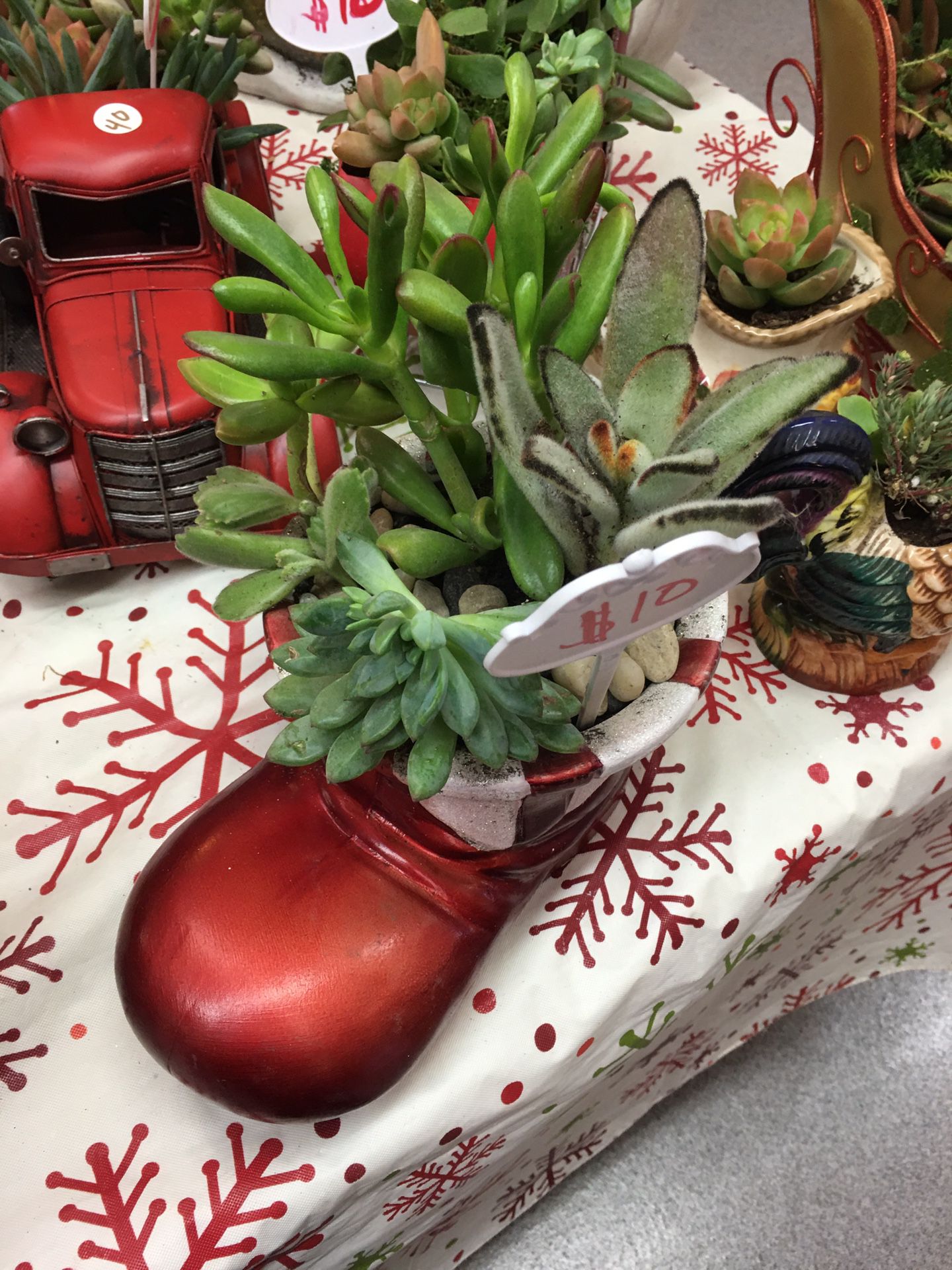 Christmas Succulent boot