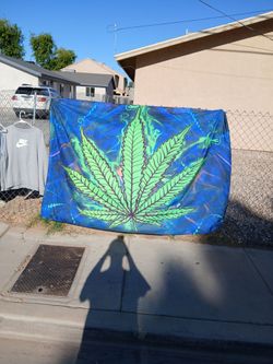 🍃 flag big