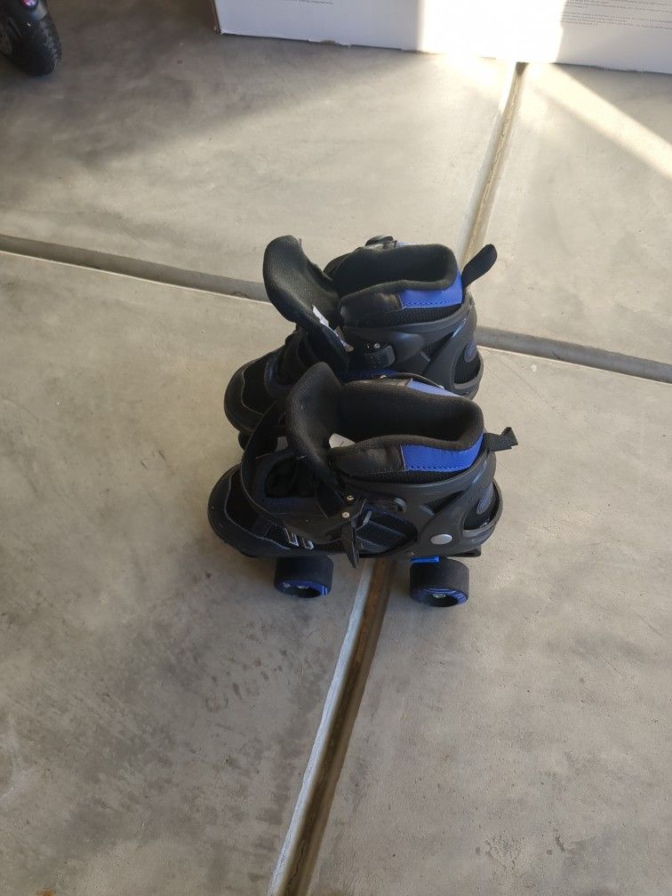 Blue Mongoose Skating Shoes