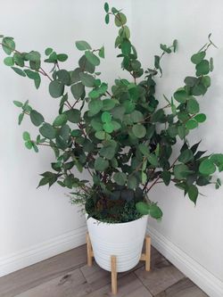 Faux Plant Eucalyptus
