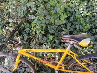 1988 diamondback ascent adventure series with chromoly steel frame and 26 inch alloy rims