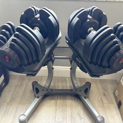 Bowflex Selecttech 90 Lb Dumbbells