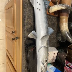 Barracuda Fish Replica 