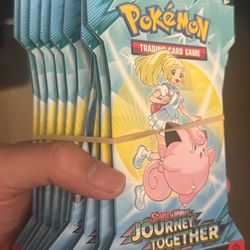 Journey Together Sleeves