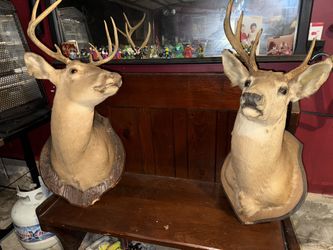 Man Cave Decor