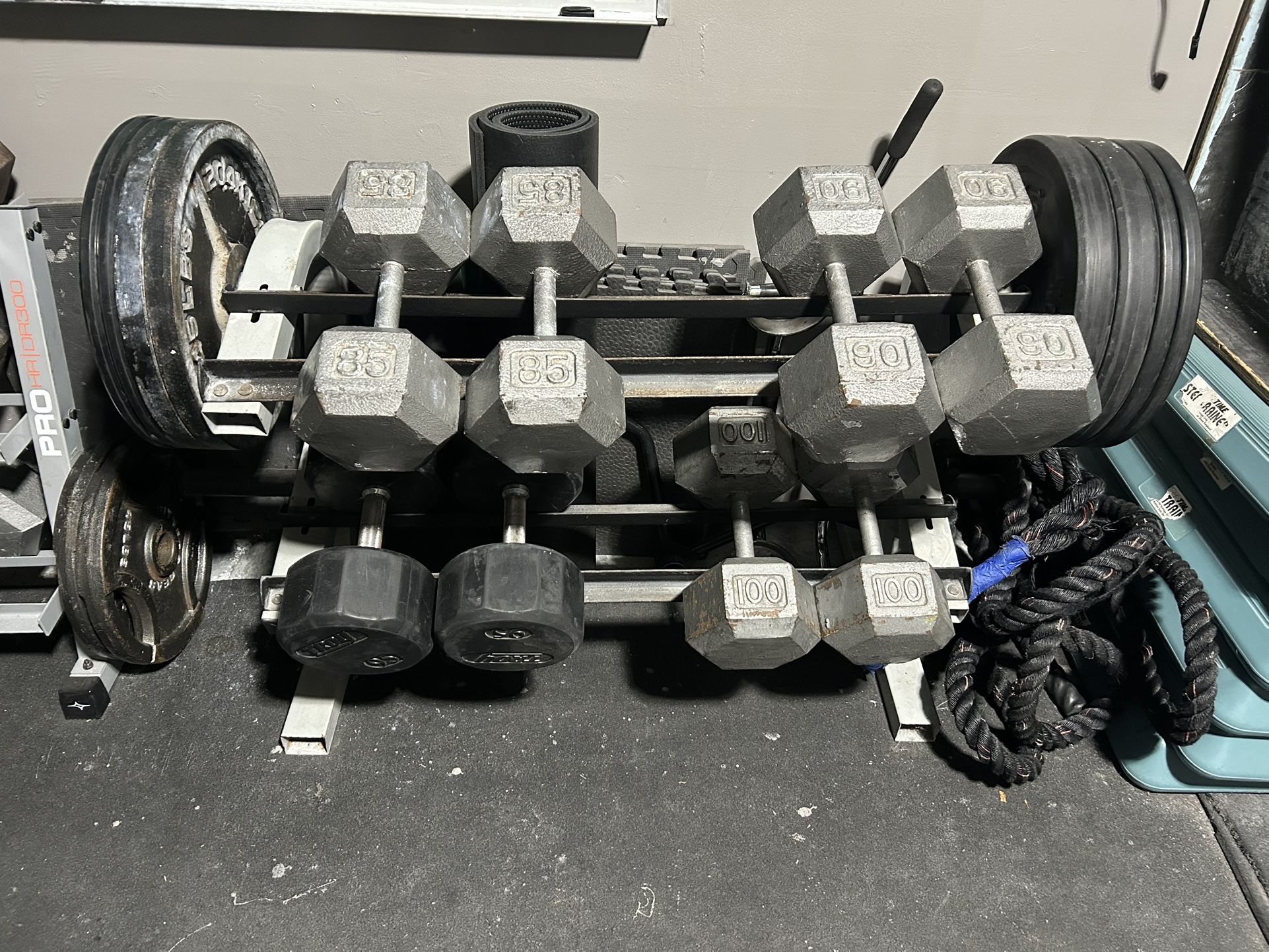 Steel Dumbbell Rack With Plate Storage